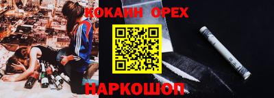 прущие грибы Будённовск