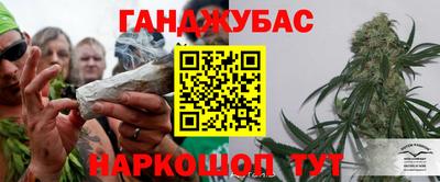 прущие грибы Будённовск