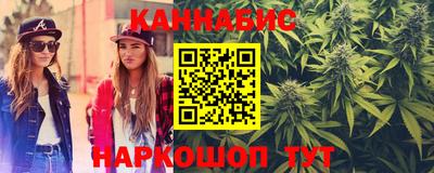 прущие грибы Будённовск
