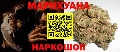 прущие грибы Будённовск