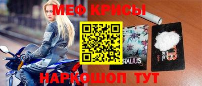 прущие грибы Будённовск