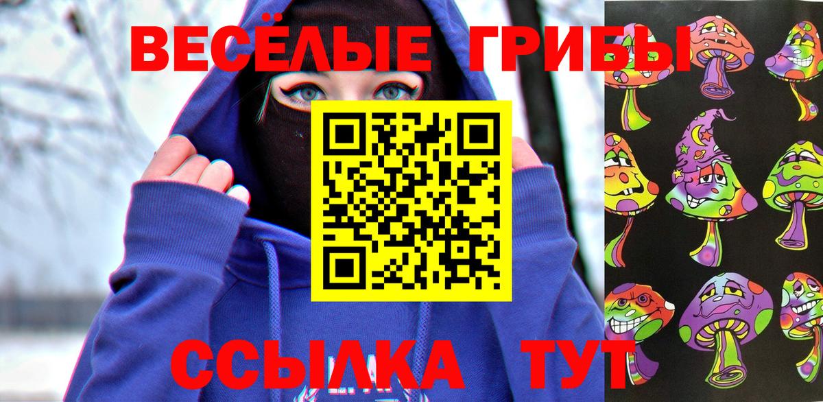 Галлюциногенные грибы Psilocybe  Вход с VPN  Галлюциногенные грибы Cubensis  Юрга 