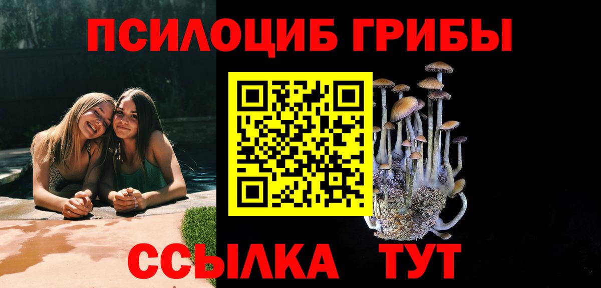 Псилоцибиновые грибы прущие грибы Юрга